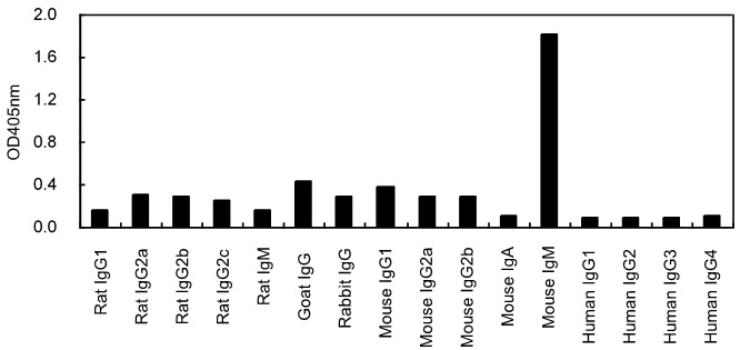 Anti-IgM Antibody (HRP) [KT95] - Identical to Abcam (ab170492)