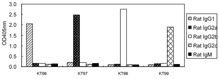 Anti-IgG1 Antibody (HRP) [KT96] - Identical to Abcam (ab106753)