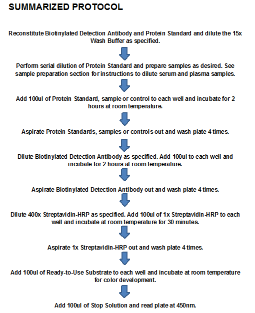 Human FGF-9 ELISA Kit Human FGF-9 ELISA Kit