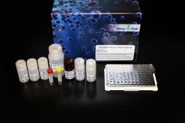 Human Resistin ELISA Kit