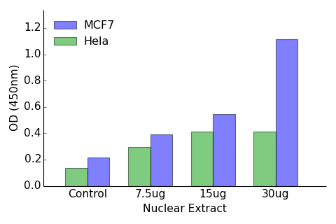 Androgen Receptor ELISA Kit