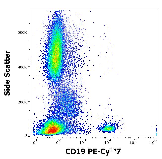Anti-CD19 Antibody [4G7] (PE-Cyanine 7)