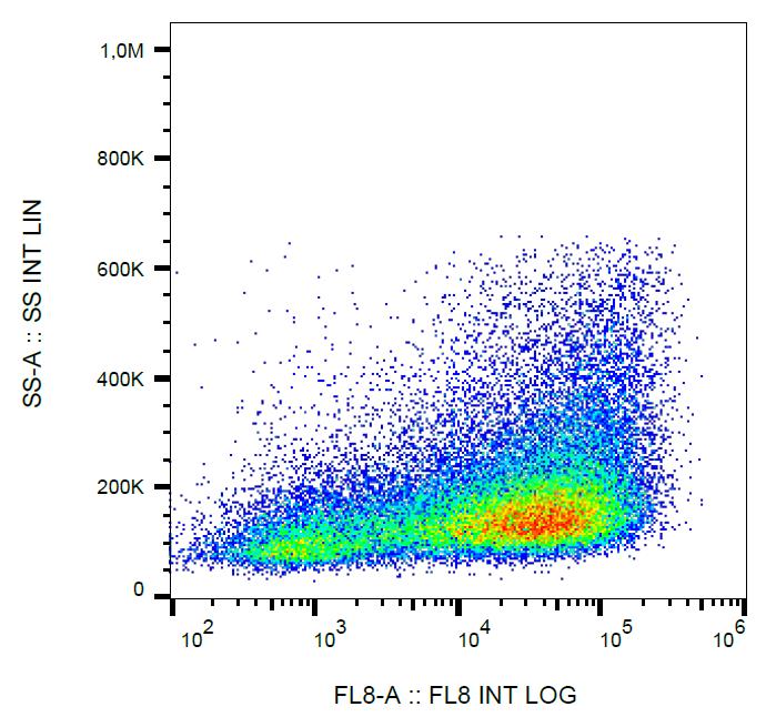 Anti-IL-2 Receptor alpha Antibody [MEM-181] (APC-Cyanine 7)