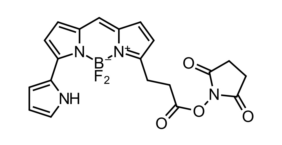 BDP 576/589 NHS ester [201998-61-0]