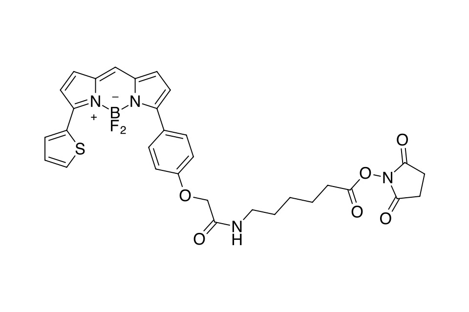 BDP TR X NHS ester [197306-80-2]