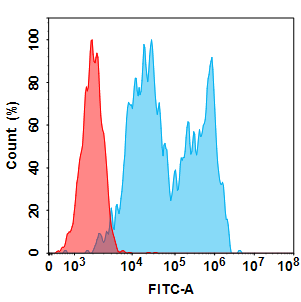 Rituximab Biosimilar - Anti-CD20 Antibody - BSA and Azide free