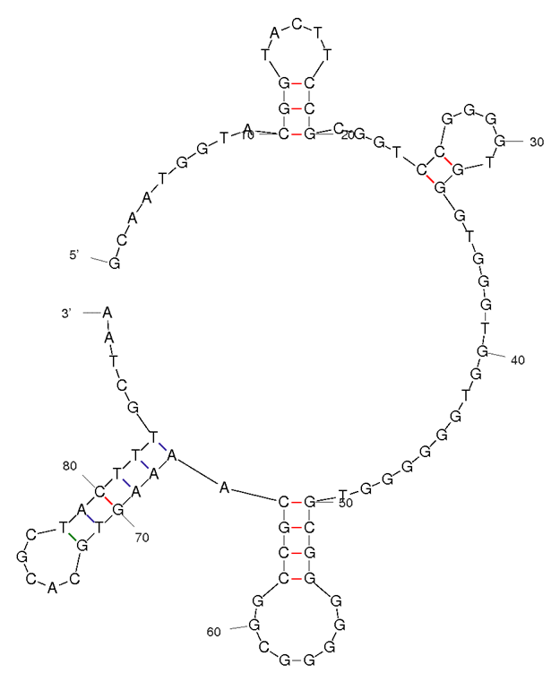 Anti-Influenza A Virus NS1 Aptamer (Biotin)