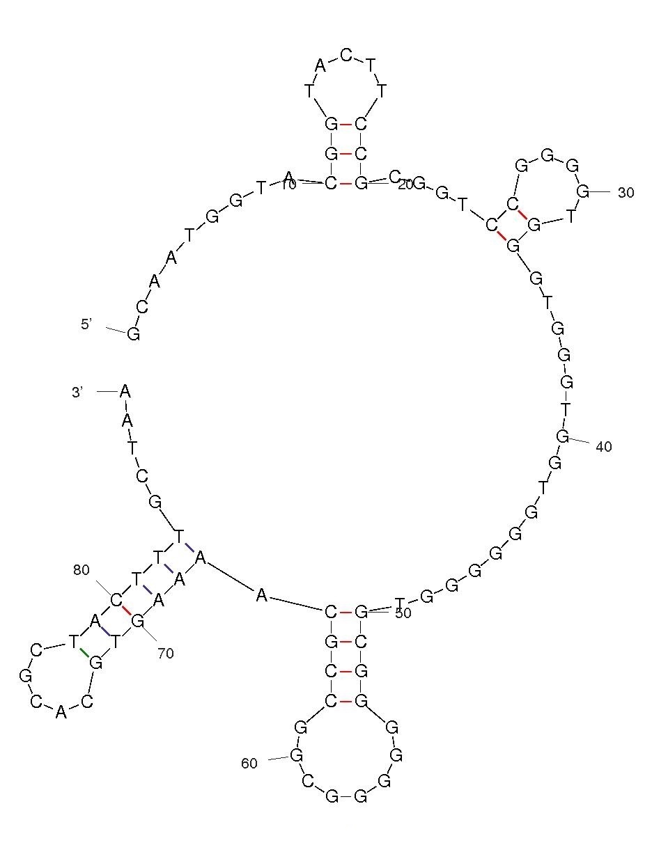 Anti-Influenza A Virus NS1 Aptamer (Biotin)