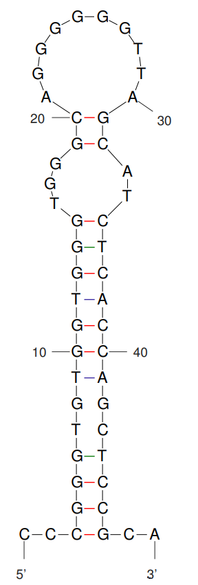 Anti-CD19 Aptamer [C10] (Biotin)