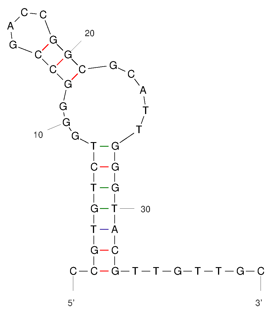 Anti-Cytochrome C Aptamer (Biotin) Anti-Cytochrome C Aptamer (Biotin)
