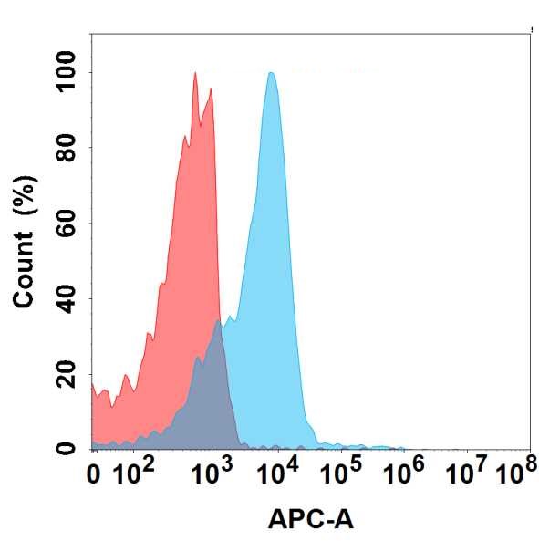 Anti-CD19 Antibody [16B8] - BSA and Azide free