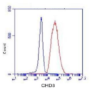 Anti-CHD3 Antibody Anti-CHD3 Antibody