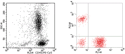Mouse Human CD3 / CD19 / CD45 Antibody (FITC / PE / PE-Cy5)