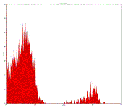 Mouse Human CD19 Antibody (PE-Cy5)