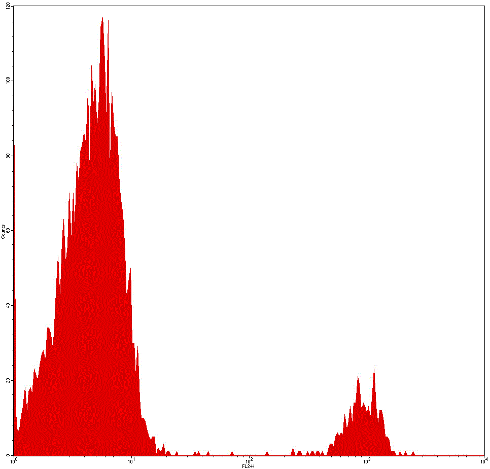 Mouse Human CD19 Antibody (PE)