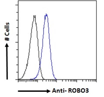 Anti-Robo3 Antibody