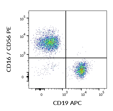 Anti-CD19 Antibody [LT19] (APC)