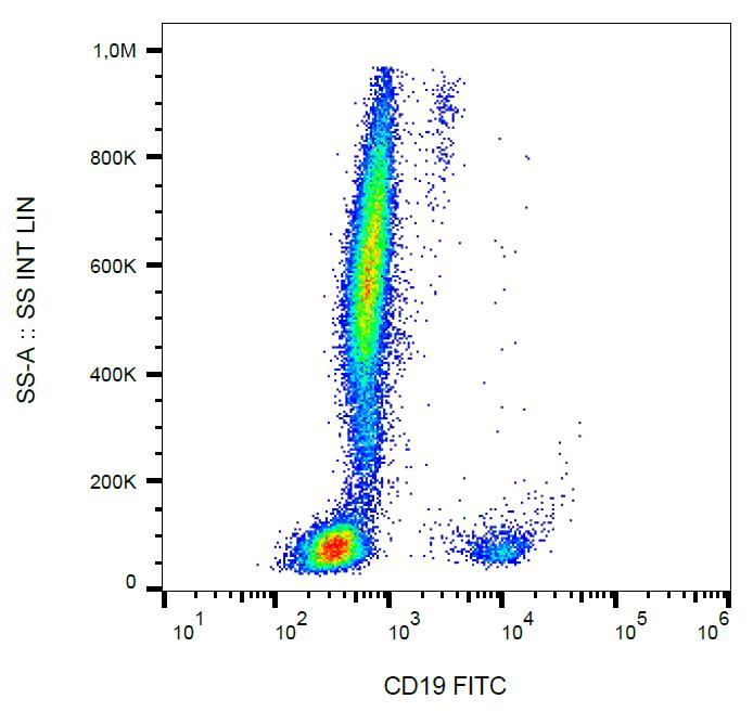 Anti-CD19 Antibody [LT19] (FITC)