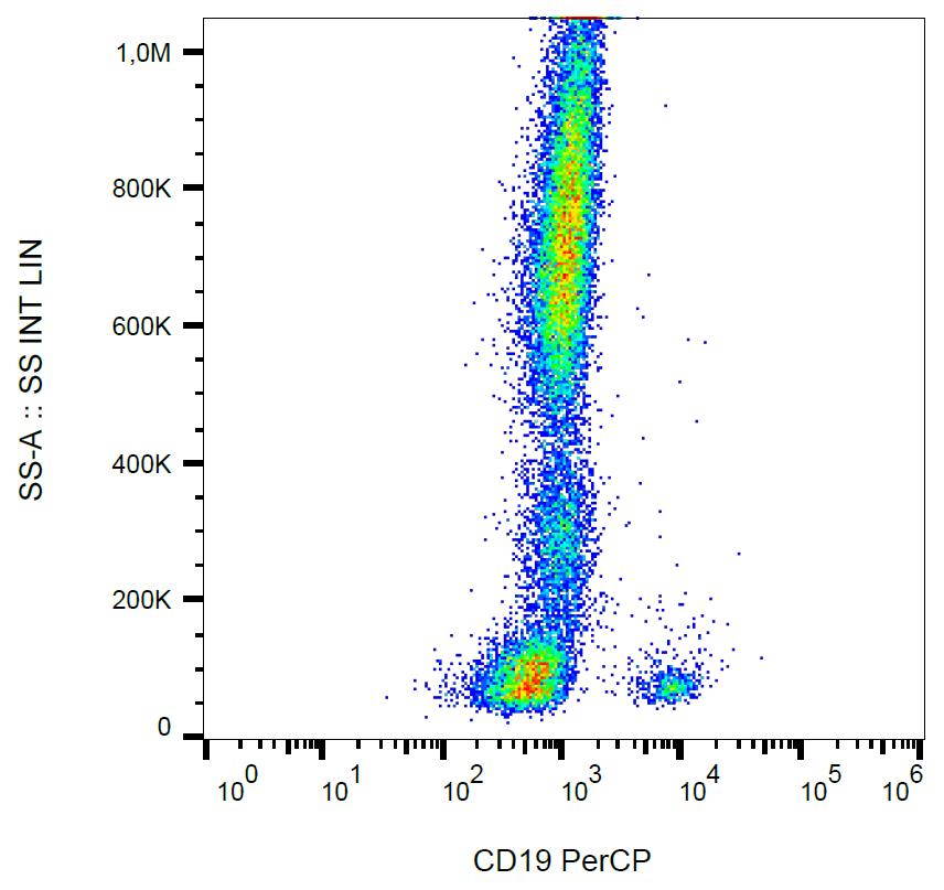 Anti-CD19 Antibody [LT19] (PerCP)