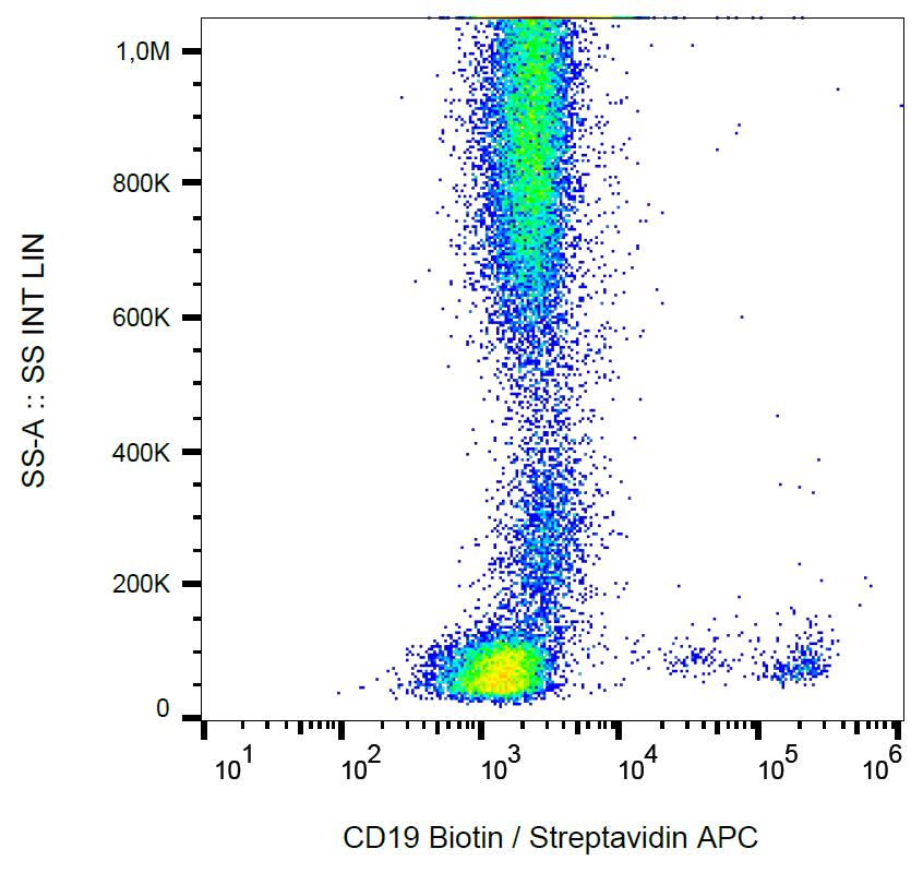 Anti-CD19 Antibody [LT19] (Biotin)